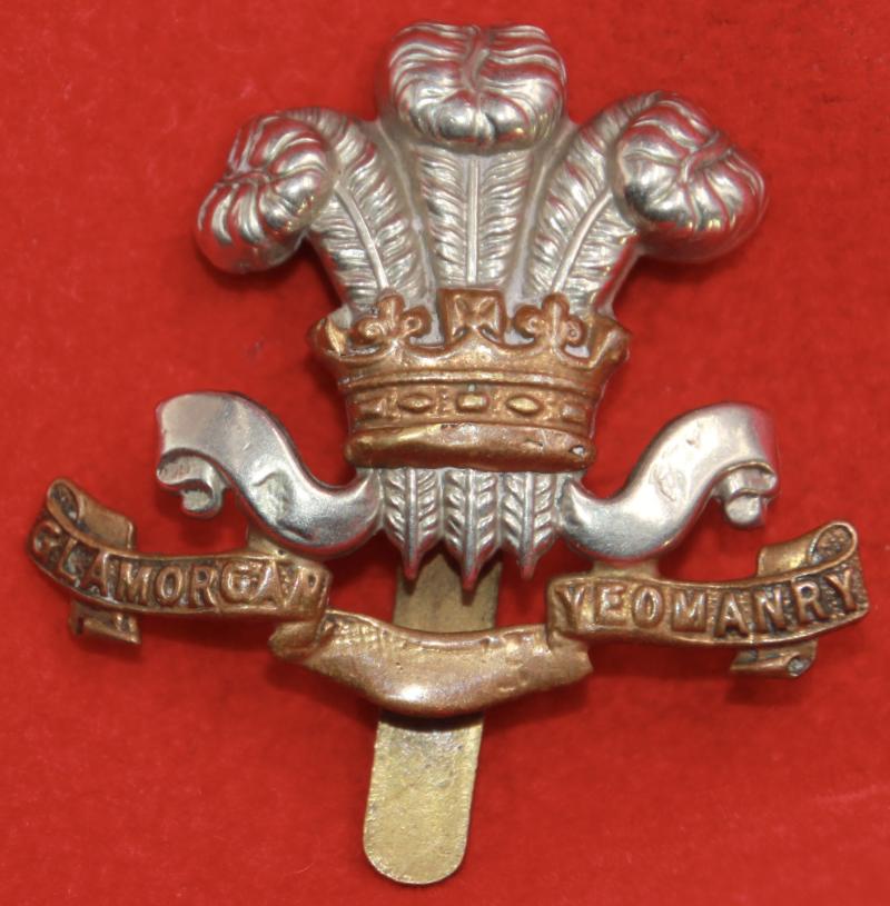 Glamorgan Yeo Cap Badge
