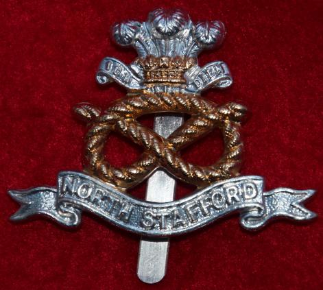 Anodised North Staffs Regt Cap Badge