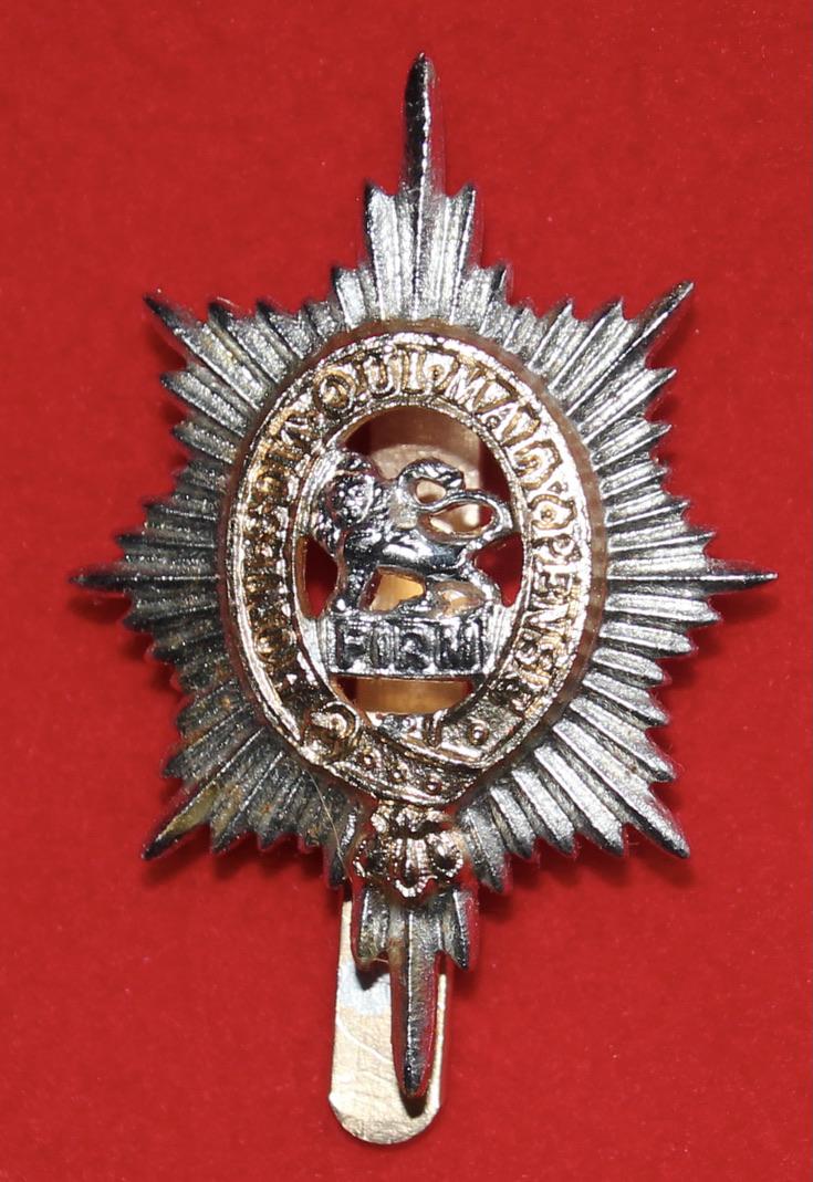 Anodised Worcestershire Regt Cap Badge