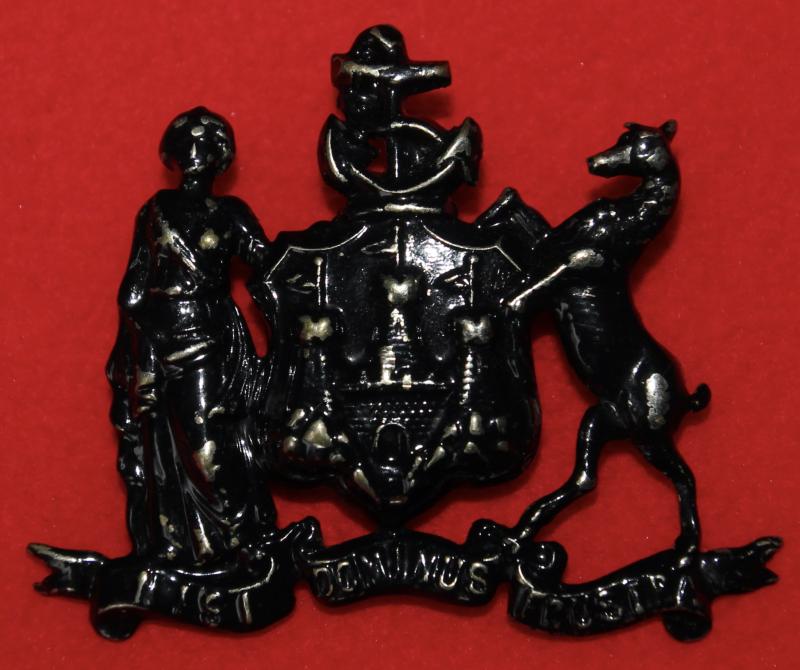 1st Citizens' Company of Edinburgh Cap Badge