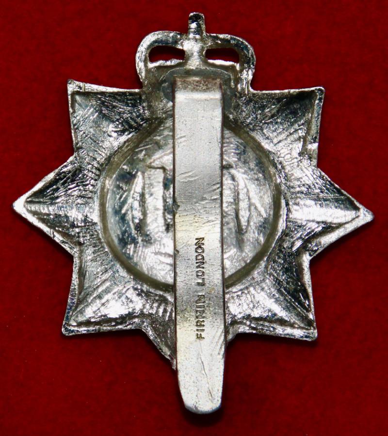 Anodised Devonshire Regt Cap Badge