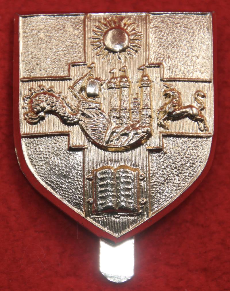 Bristol University OTC Beret Badge