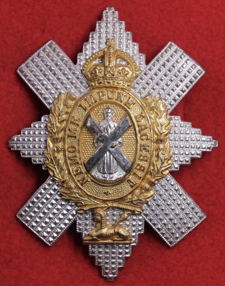 BW Officer's Glengarry Badge