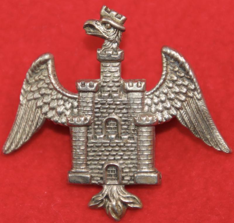 Bedfordshire IY Cap Badge