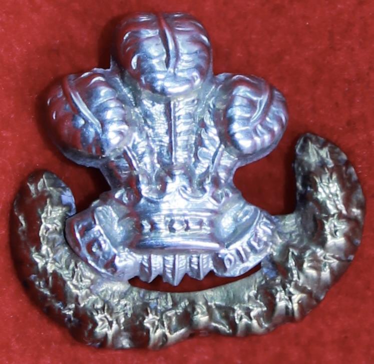 100th Foot Collar Badge