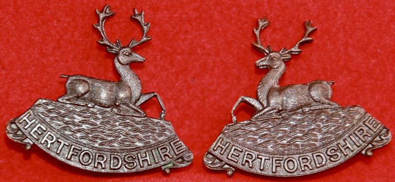 Herts Regt OSD Collar Badges