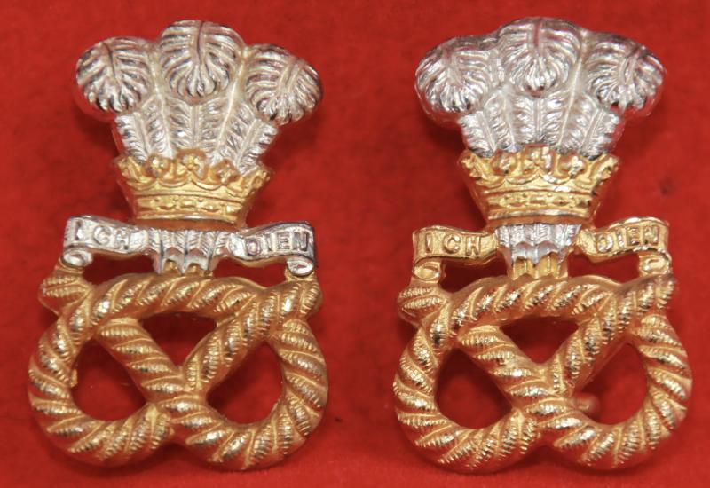 N Staffs Officer's Collar Badges