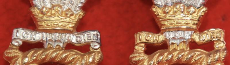 N Staffs Officer's Collar Badges