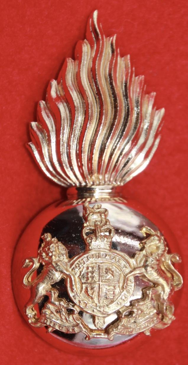 RSF Officer's Glengarry Badge