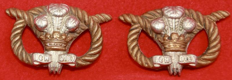 Victorian N Staffs Collar Badges