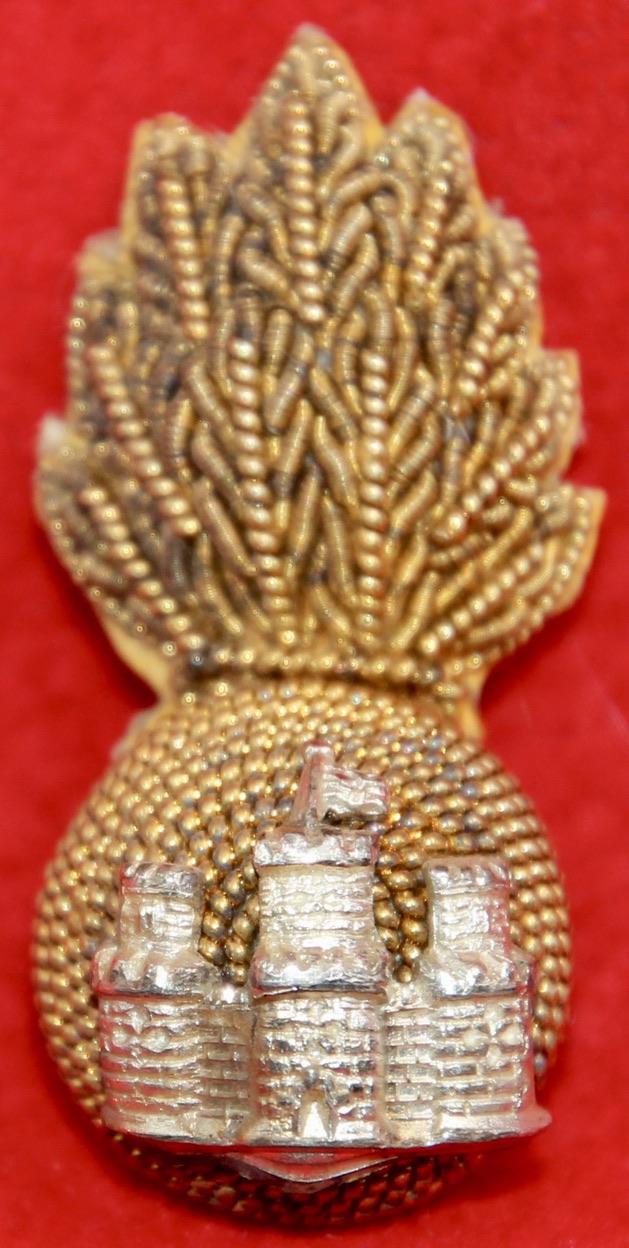 Skins Officer's Collar Badge