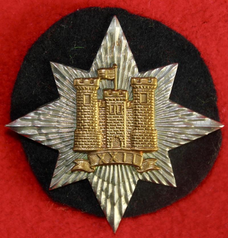 22D NCO's Arm Badge