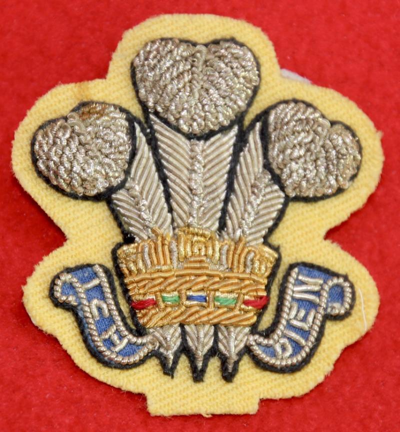 RSDG Officer's Arm Badge
